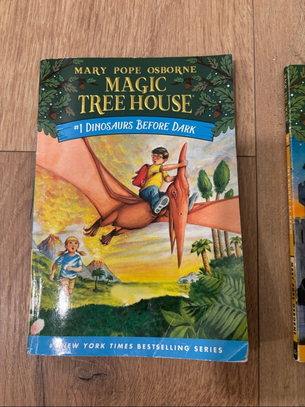 Magic Treehouse Books 1-3 - Picture 3 of 5